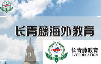 意大利語學習--常用口語二