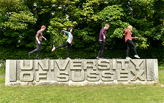 英國薩塞克斯大學